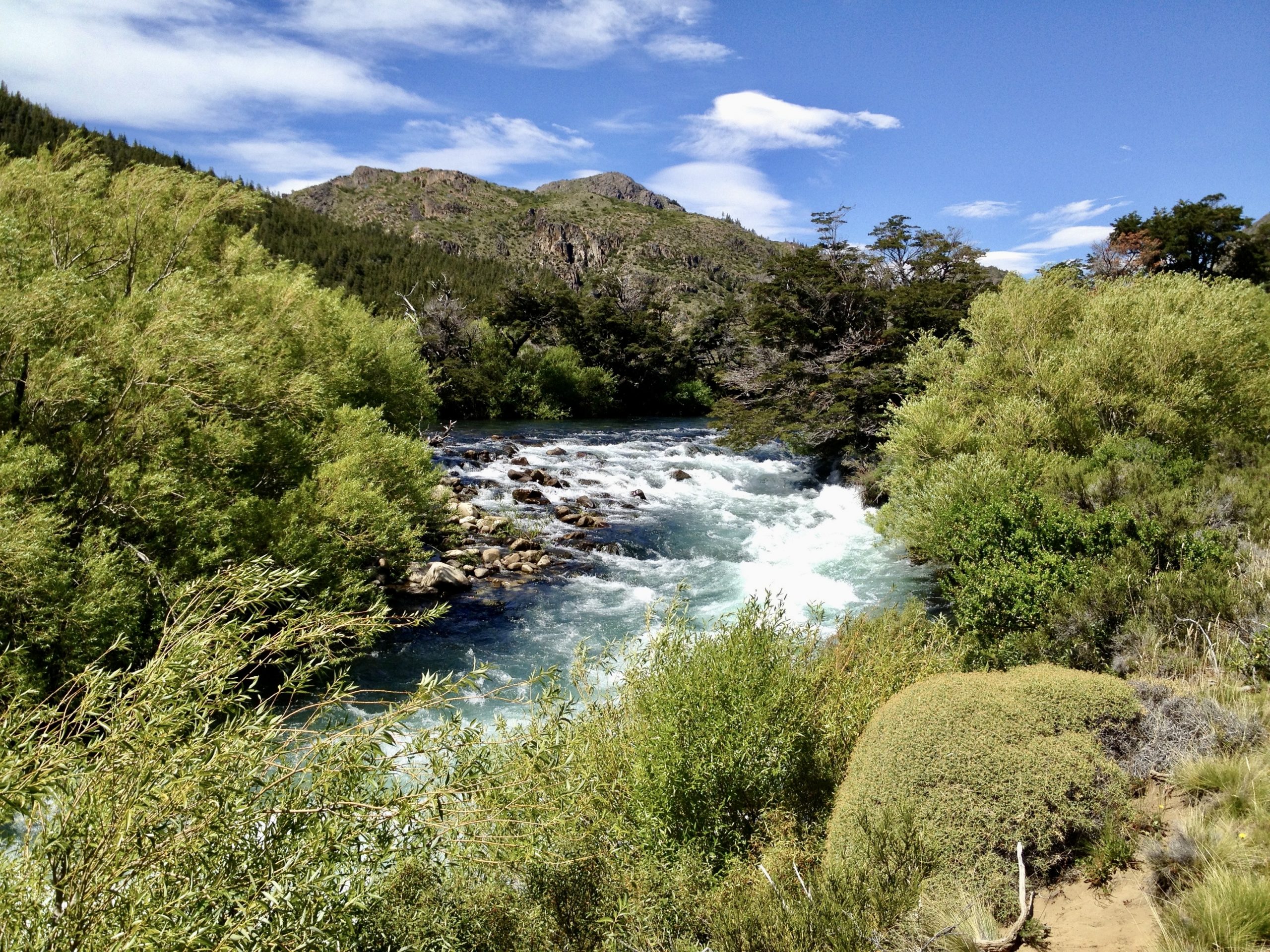 Packages Riverland Outfitters Argentina Hunting Fishing Experiences